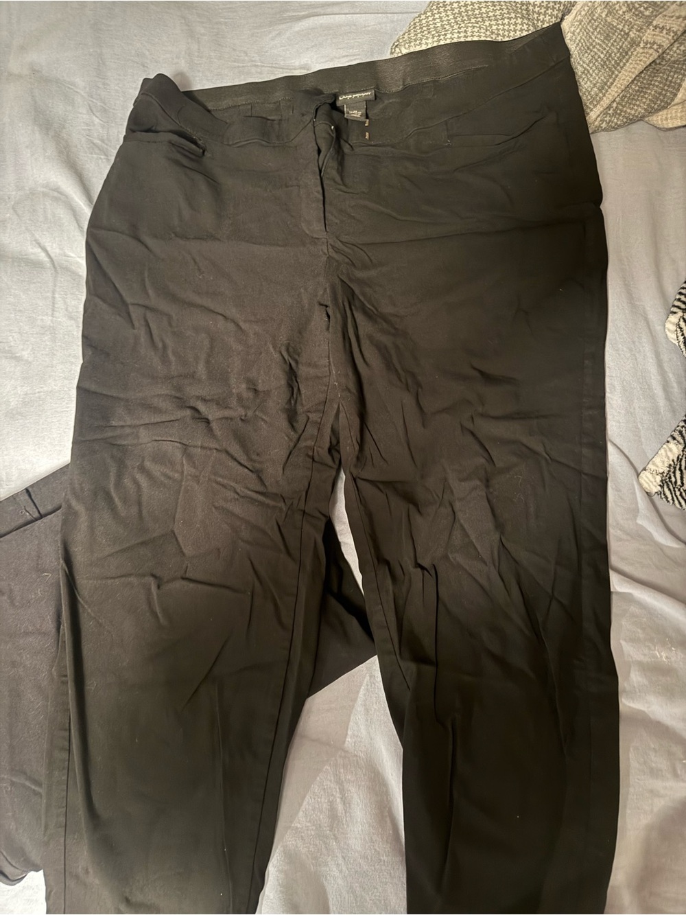 Women's Black Dress Pants Lane Bryant size 22